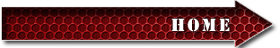 Home Button